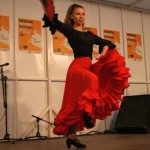 Catarina Flamenco