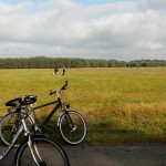 Radtour Auf Pilzsuche