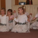 Schmetterlinge Winter 1