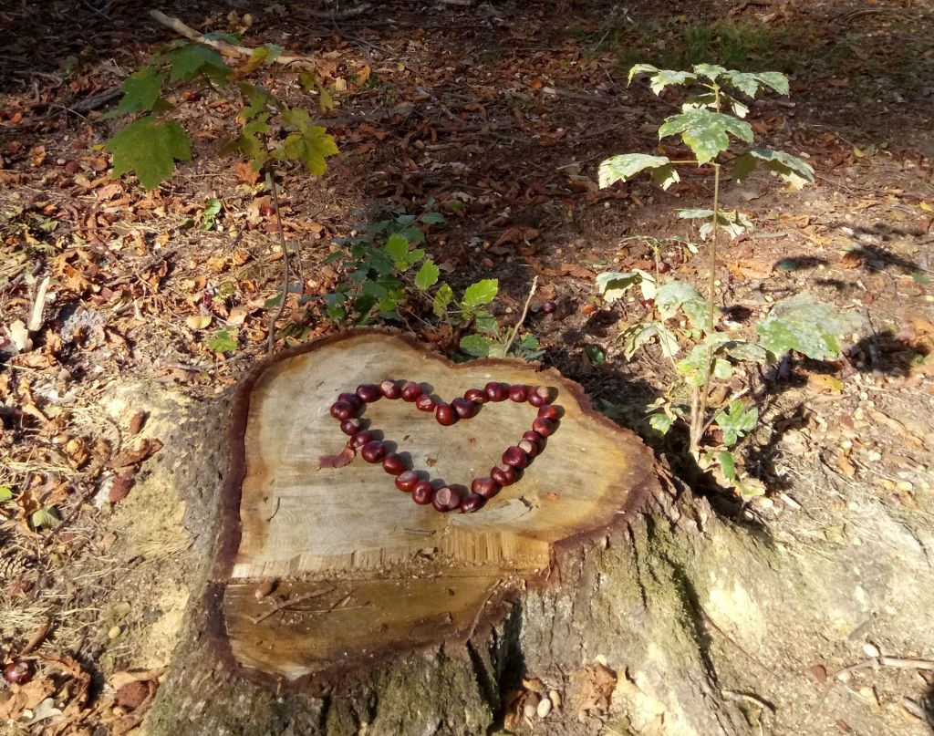 Radtour am 6. Oktober 2018